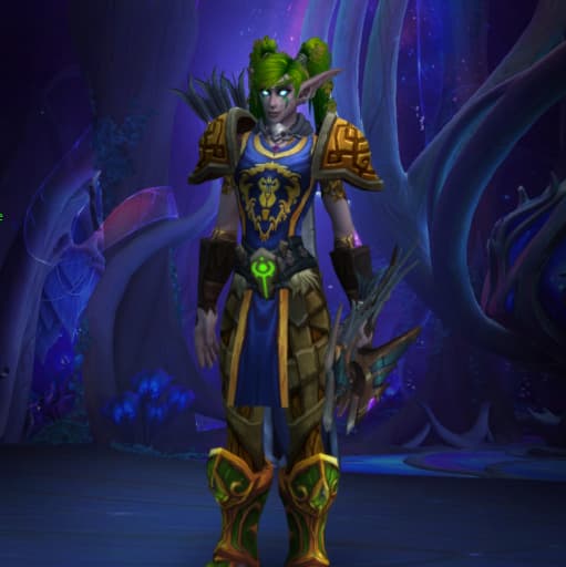 WoW TBC Hunter Night Elf Level 70 for Europe Server - Zandalar Tribe